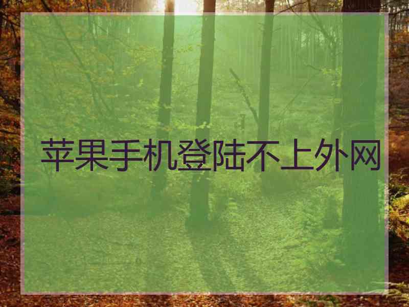 苹果手机登陆不上外网