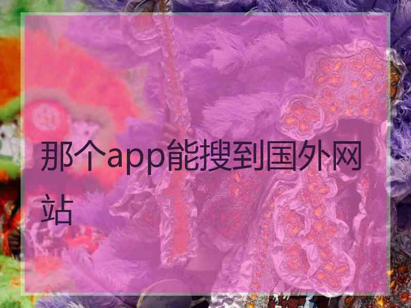 那个app能搜到国外网站