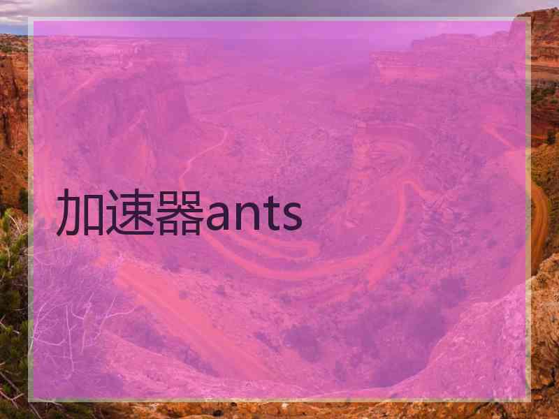 加速器ants