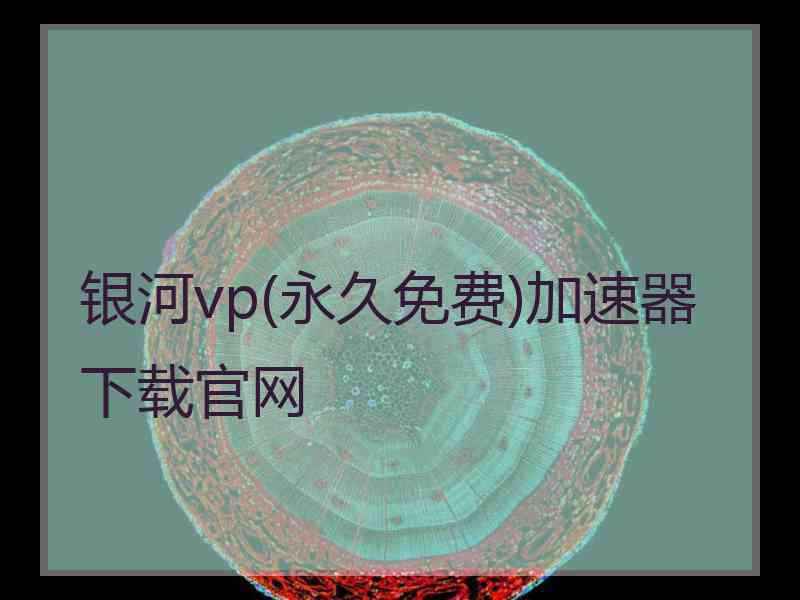 银河vp(永久免费)加速器下载官网