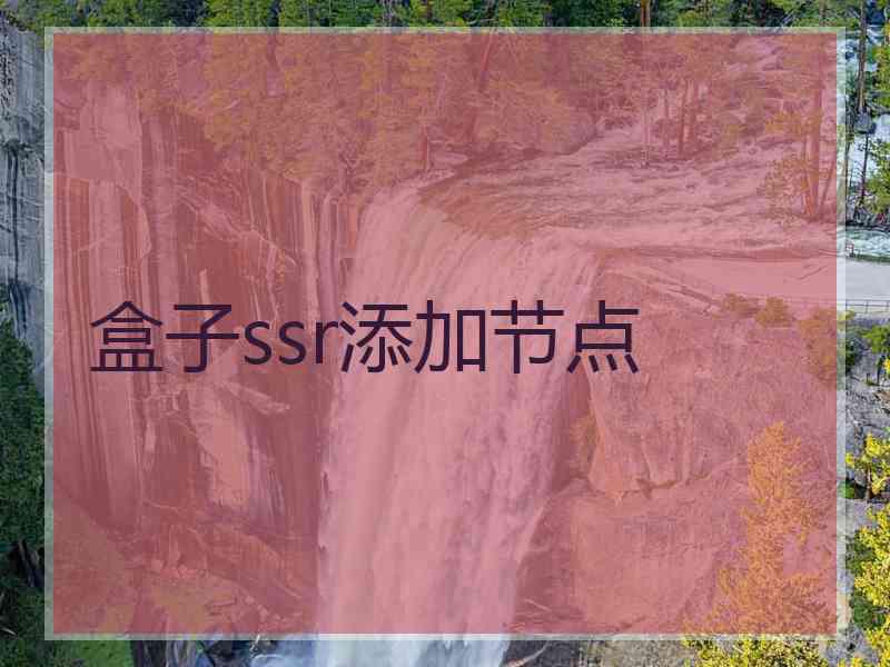 盒子ssr添加节点