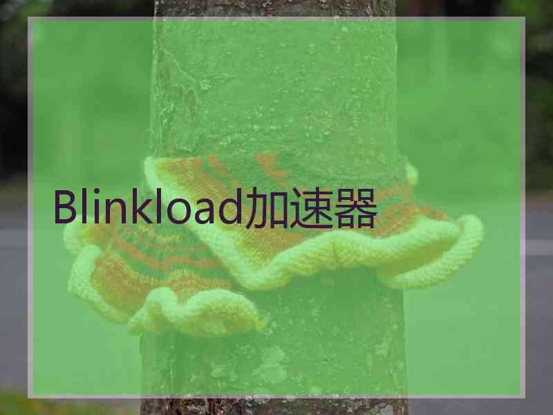 Blinkload加速器