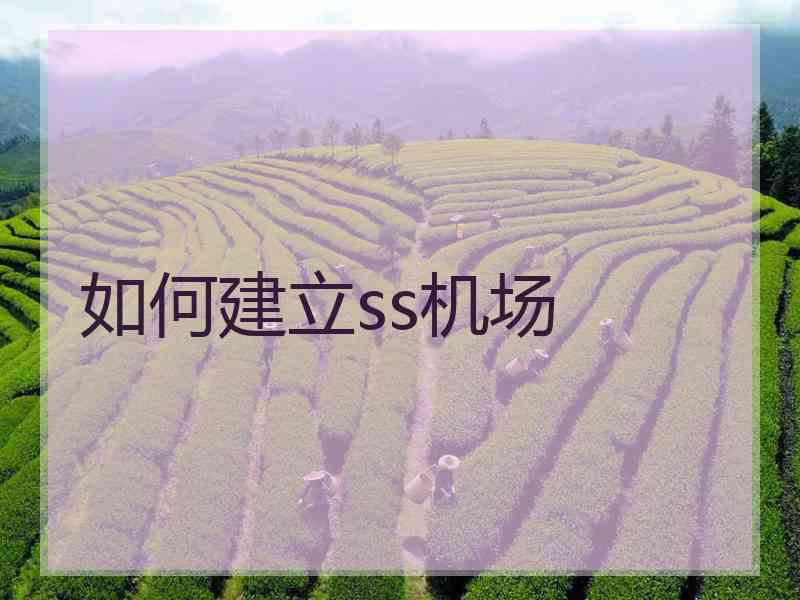 如何建立ss机场