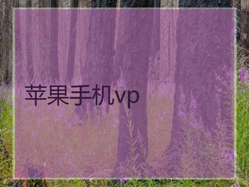 苹果手机vp