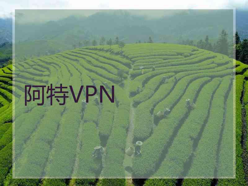 阿特VPN