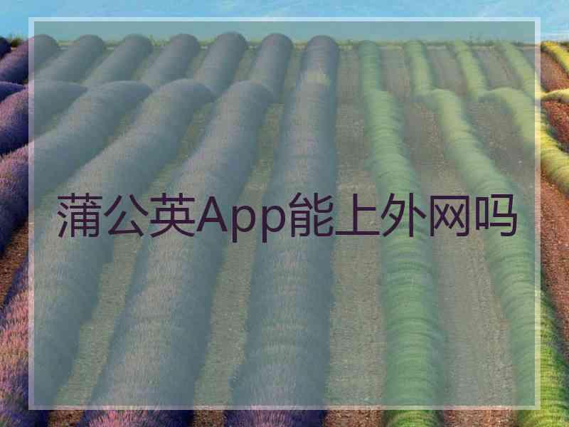 蒲公英App能上外网吗