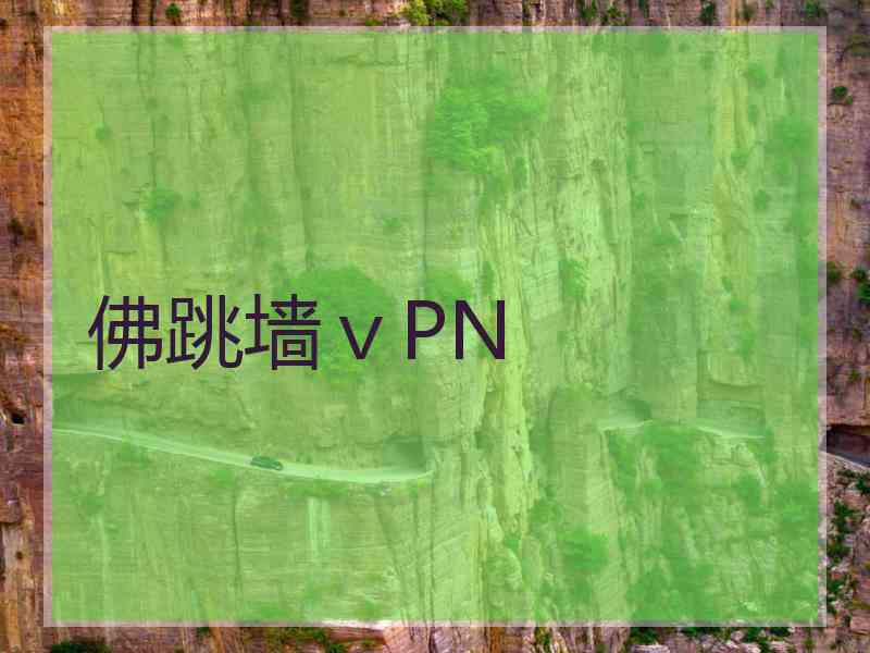 佛跳墙ⅴPN