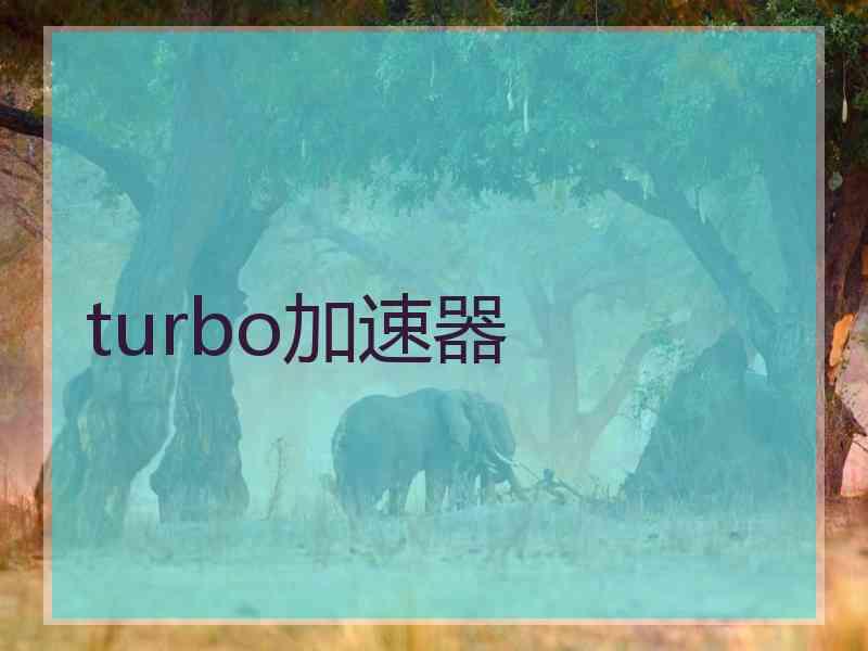 turbo加速器