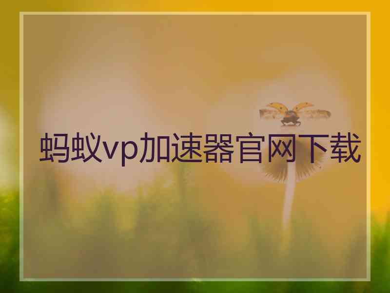 蚂蚁vp加速器官网下载