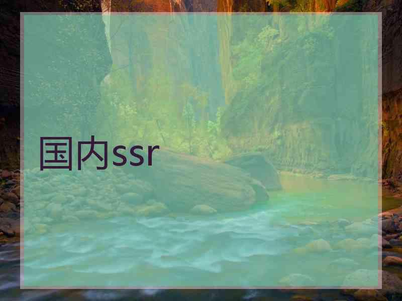 国内ssr