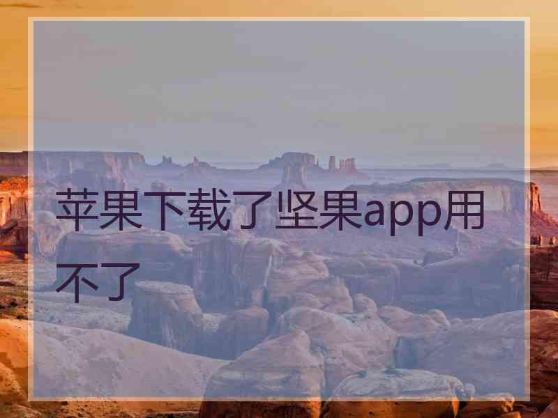 苹果下载了坚果app用不了