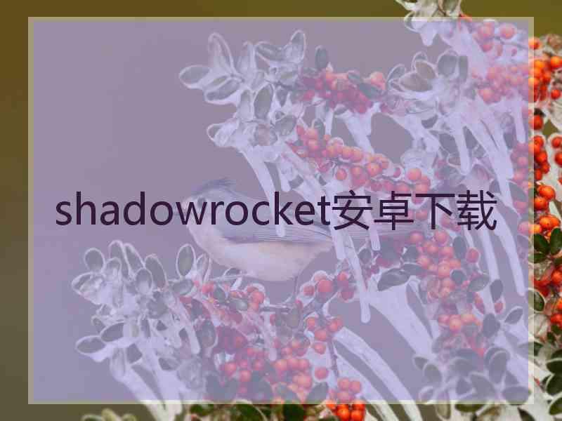 shadowrocket安卓下载