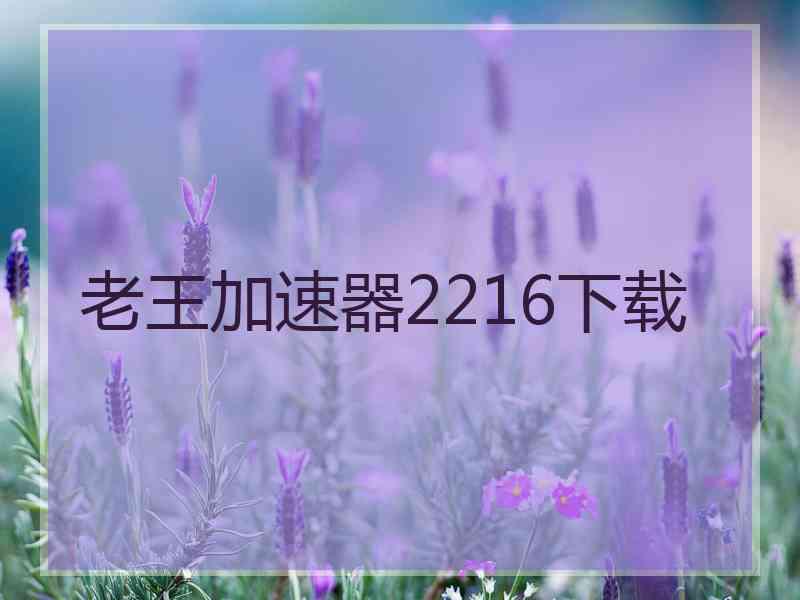 老王加速器2216下载