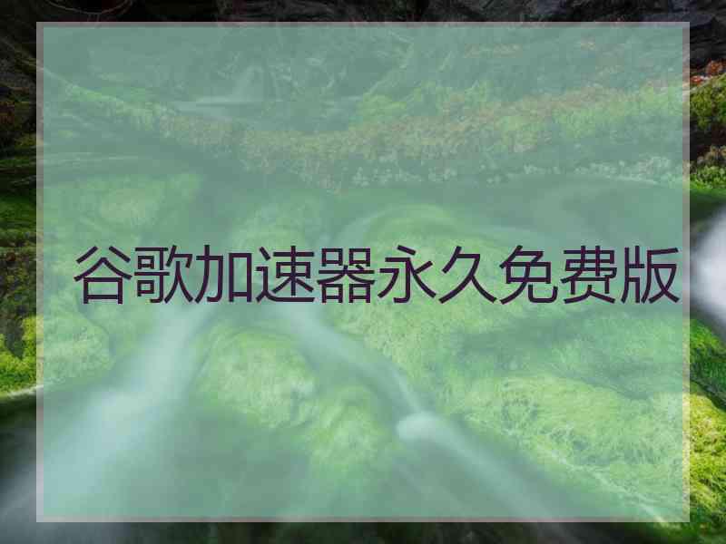 谷歌加速器永久免费版