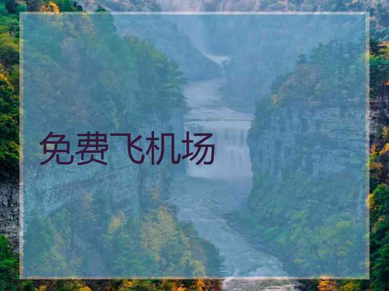 免费飞机场