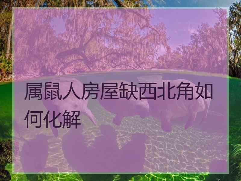 属鼠人房屋缺西北角如何化解