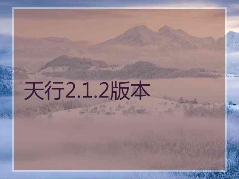 天行2.1.2版本