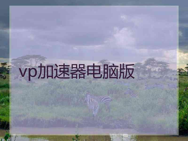 vp加速器电脑版