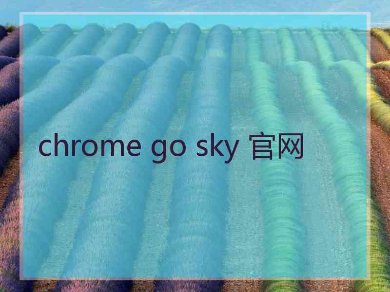 chrome go sky 官网