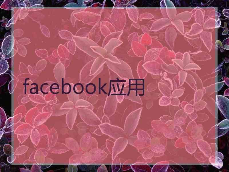 facebook应用