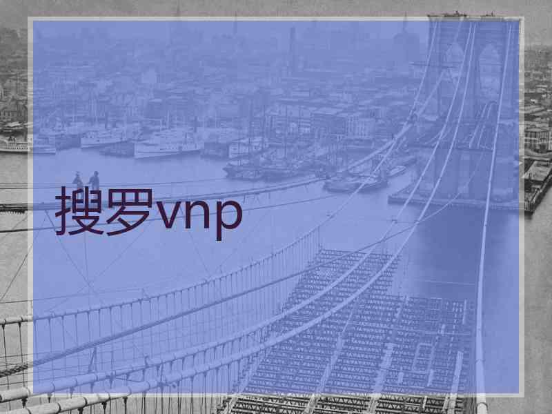 搜罗vnp