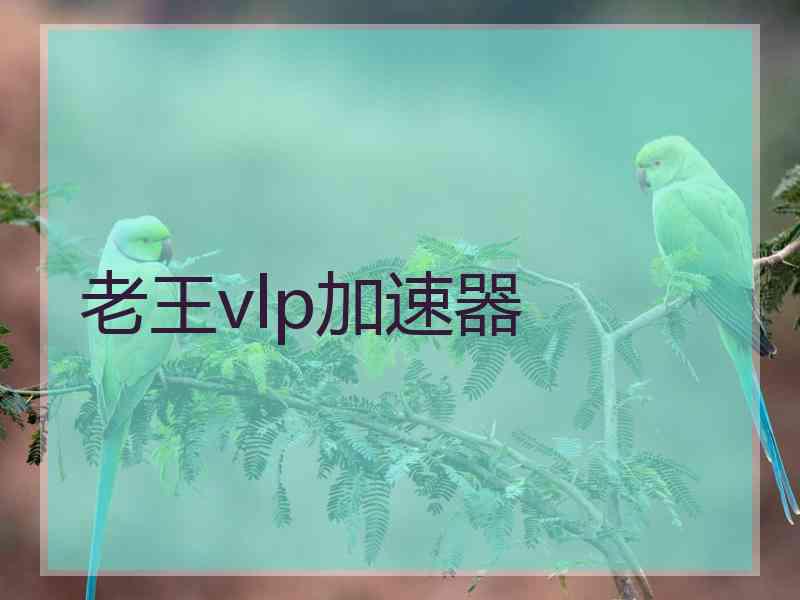 老王vlp加速器