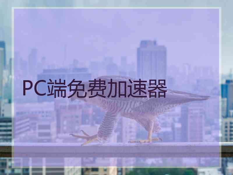 PC端免费加速器