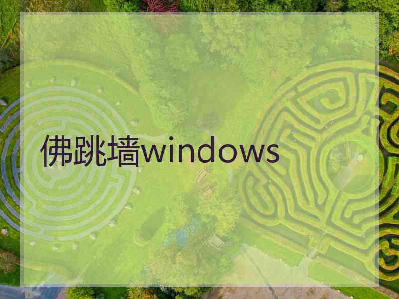 佛跳墙windows