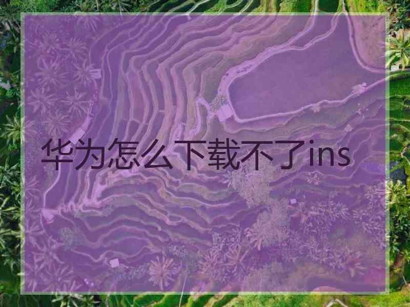 华为怎么下载不了ins