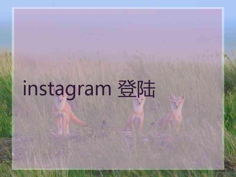 instagram 登陆