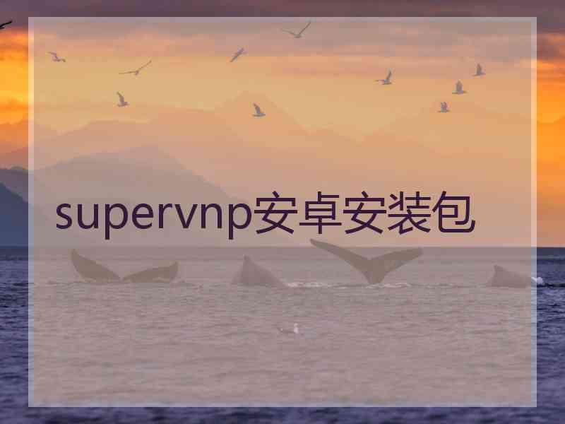 supervnp安卓安装包