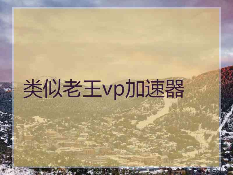 类似老王vp加速器