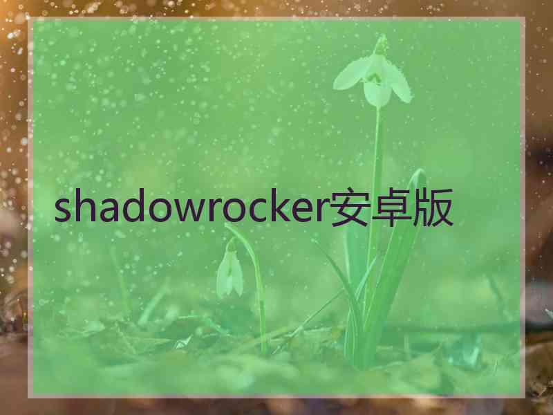 shadowrocker安卓版