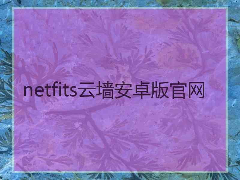 netfits云墙安卓版官网