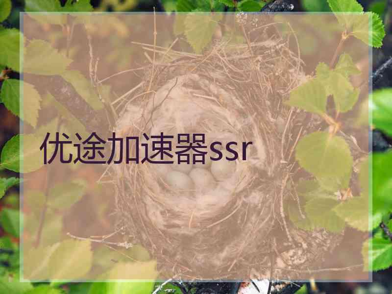 优途加速器ssr