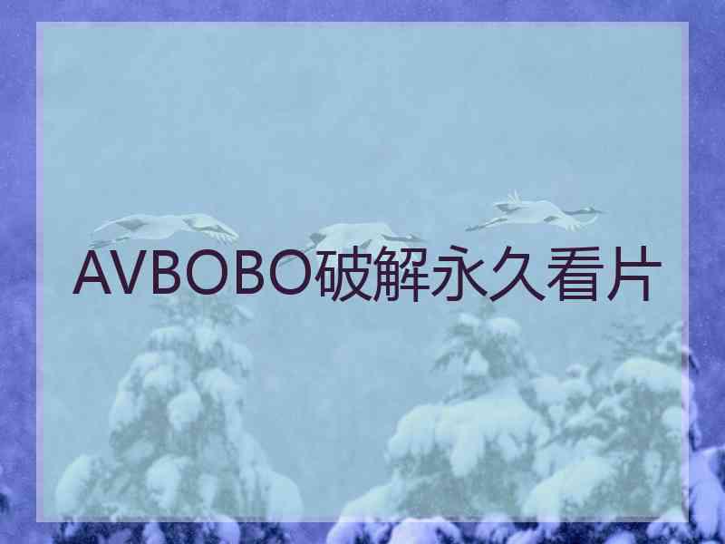 AVBOBO破解永久看片