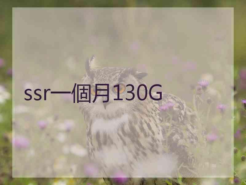 ssr一個月130G