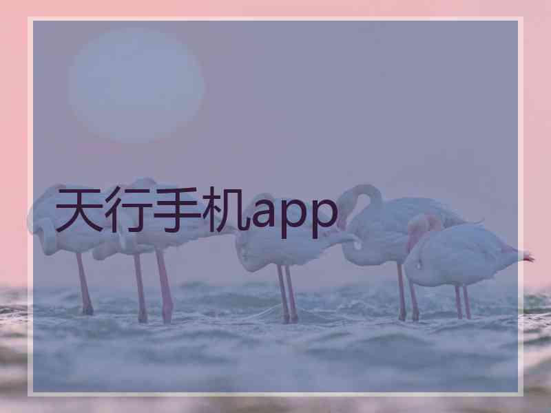 天行手机app