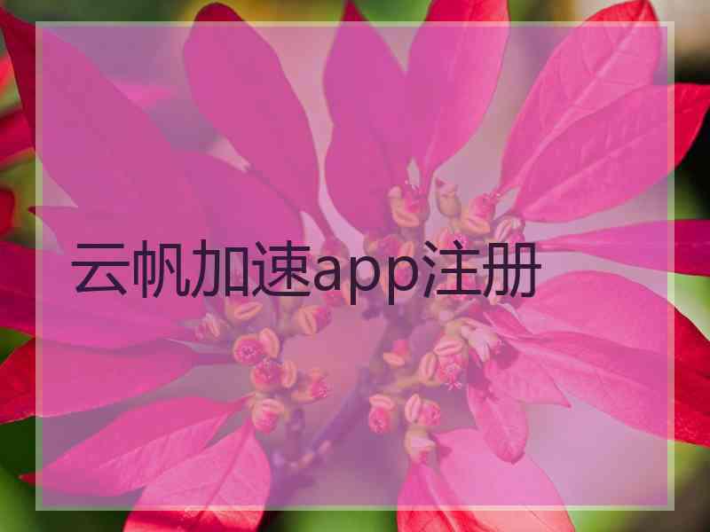 云帆加速app注册