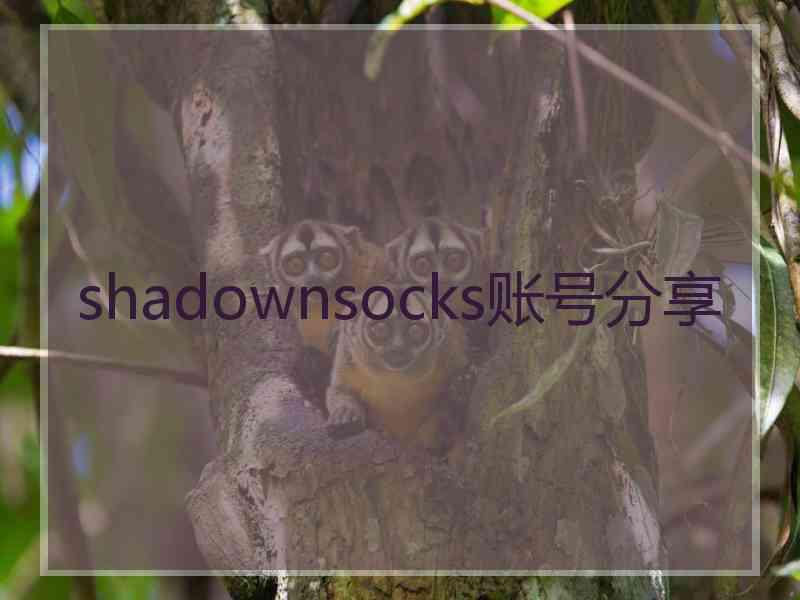 shadownsocks账号分享