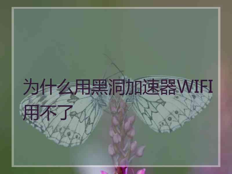 为什么用黑洞加速器WIFI用不了