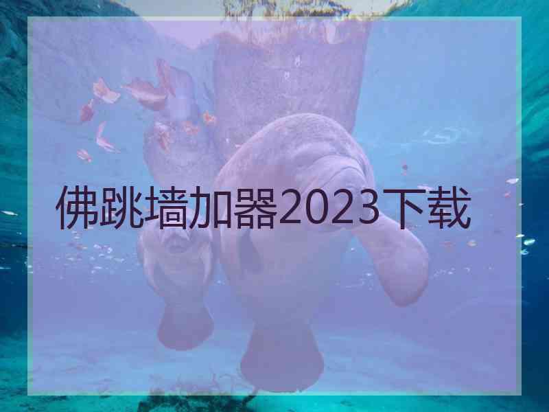 佛跳墙加器2023下载