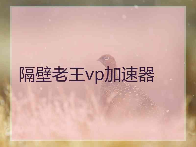 隔壁老王vp加速器