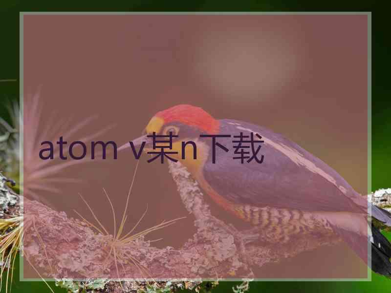 atom v某n下载