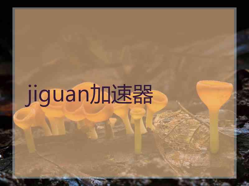 jiguan加速器