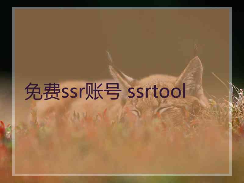 免费ssr账号 ssrtool