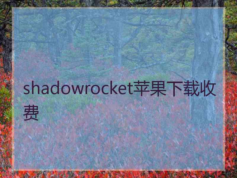 shadowrocket苹果下载收费