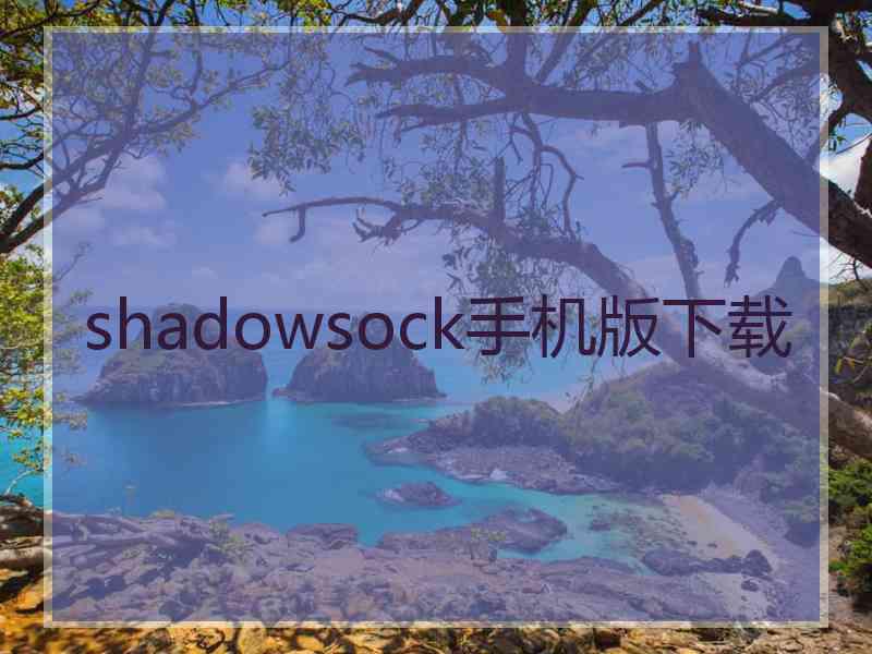 shadowsock手机版下载