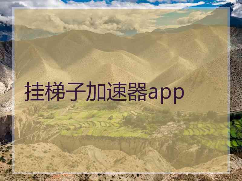 挂梯子加速器app