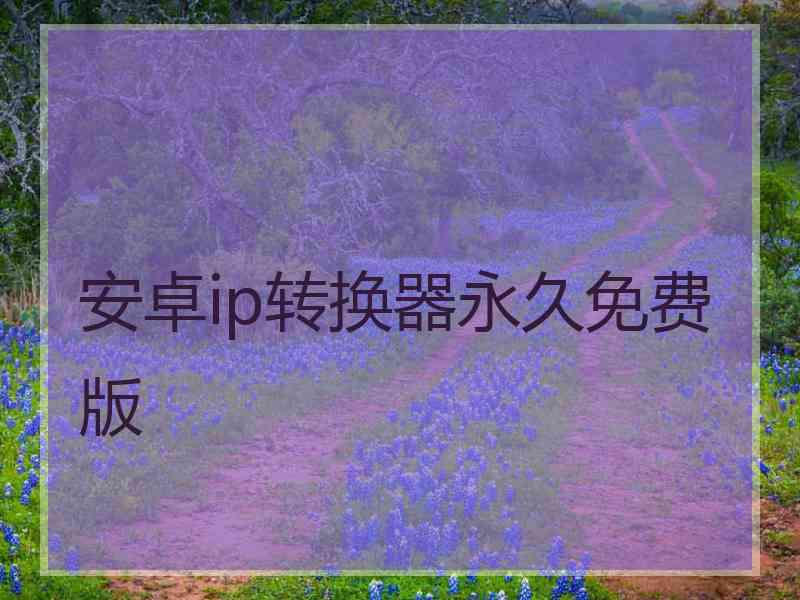 安卓ip转换器永久免费版